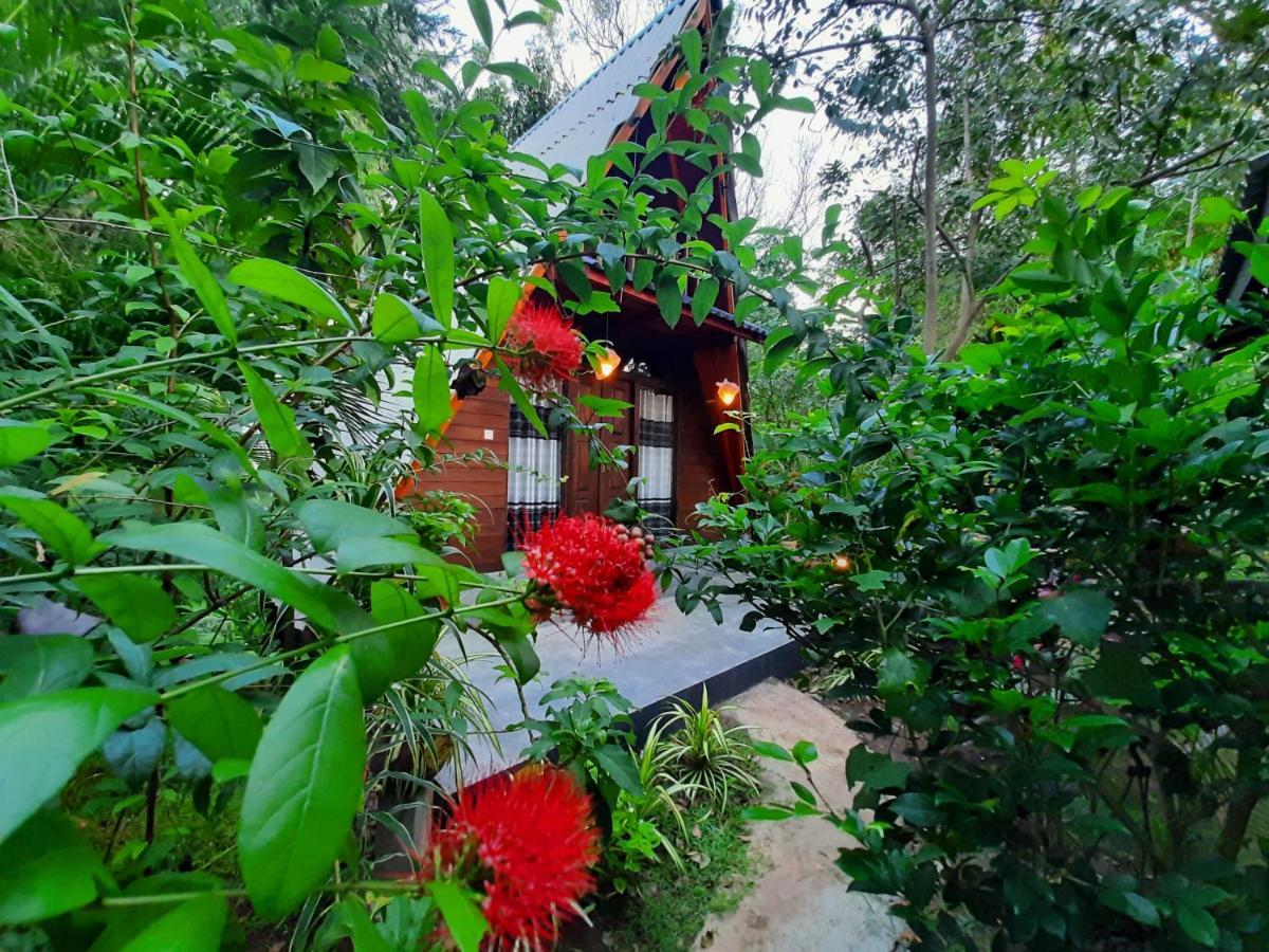 The Otunna Guest House Sigiriya Exterior foto